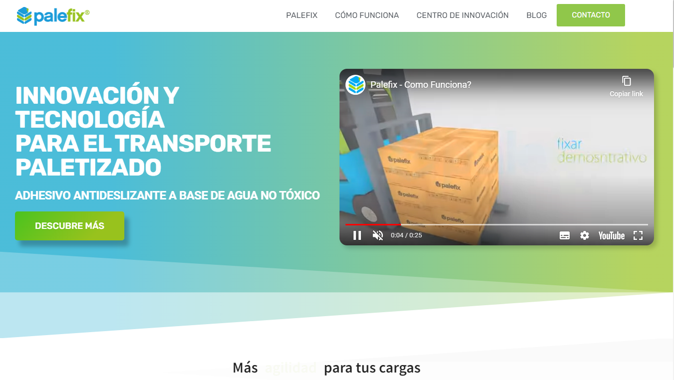 Website Palefix Argentina